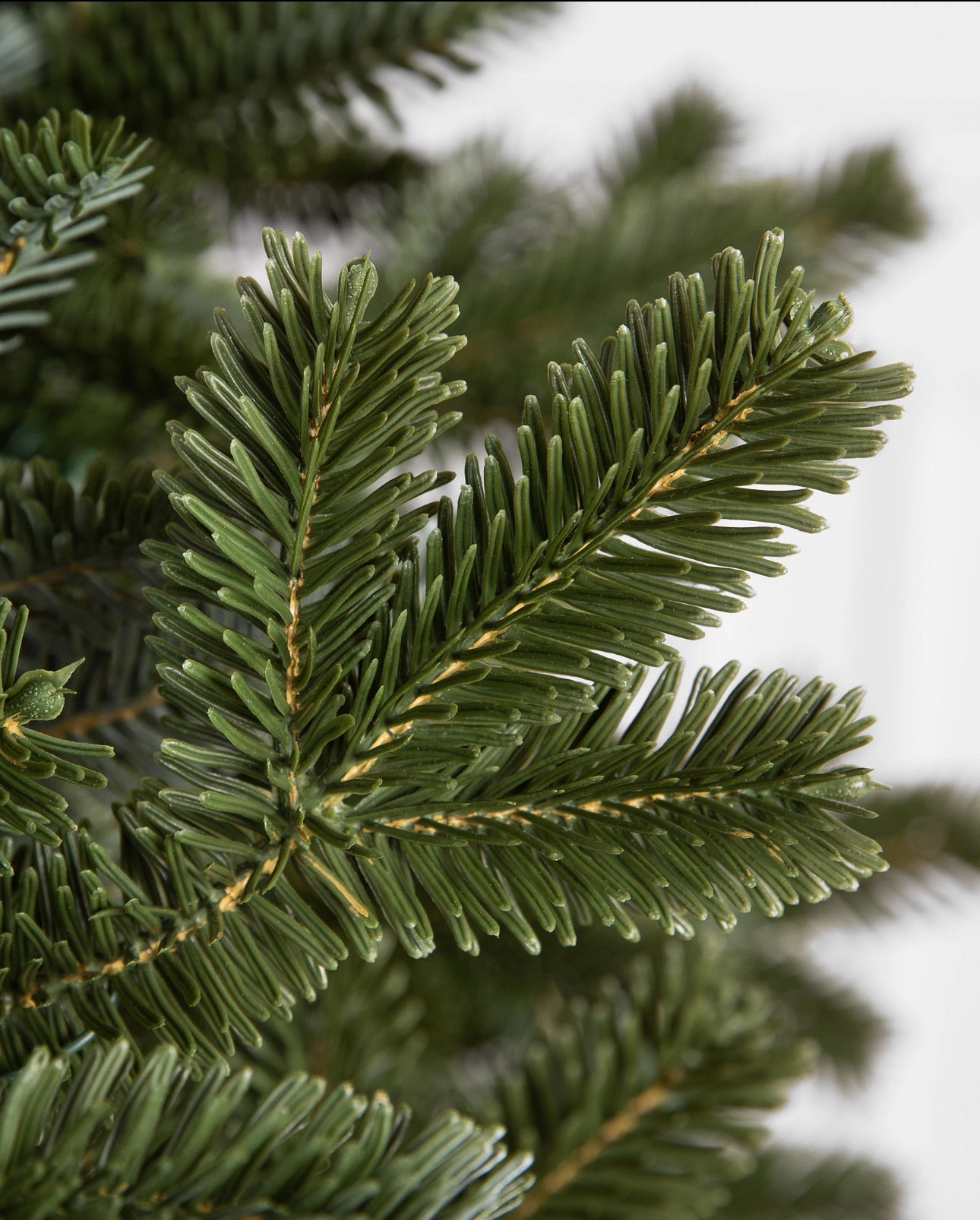 Classic Blue Spruce Christmas Tree with Built-In LED Lights
